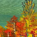 WhatsApp Image 2025-05-03 at 20.10.59 (1).webp